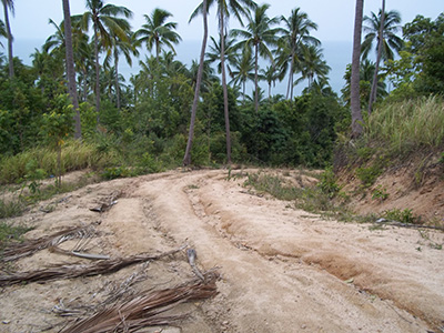 Road to Bottle Beach