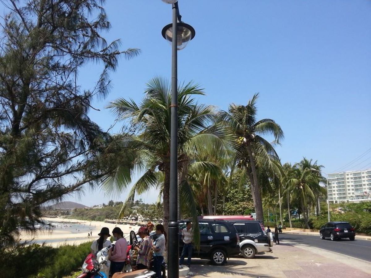 Tourists and locals alike hide under shades of coconut trees along Nguyen Dinh Chieu Street