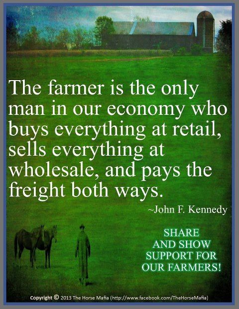 Profits earned by a farmer