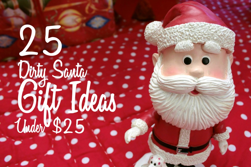 25 Dirty Santa Gift Ideas Under 25 Holidappy