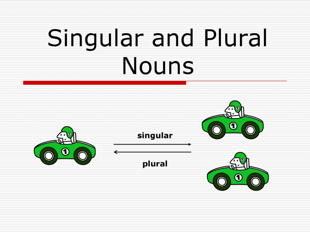 noun-number-how-to-make-plural-nouns-examples-quiz