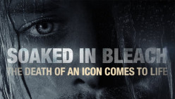 Soaked in Bleach: A Nirvana Fans Review