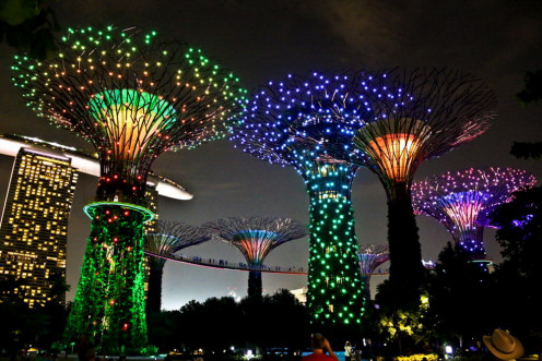 Singapore super tree LED lit up show and sky walk on the bridge attaching all the trees