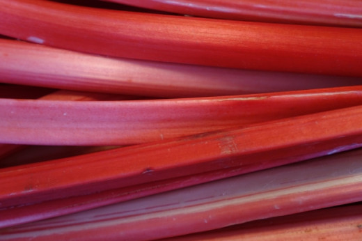 Rhubarb is a delicious edible perennial that is often used in conjunction with strawberries for sweet treats and pies. Rhubarb prefers a little bit of shade and frequent watering, and should not be harvested for at least one year for best flavor. 