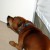 http://www.flickr.com/photos/genewolf/196115967/ http://www.flickr.com/photos/genewolf/196115967/
