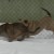 http://www.flickr.com/photos/thetorpedodog/71842185/ http://www.flickr.com/photos/thetorpedodog/71842185/