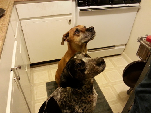Charlie and Jake want to know if it's ready yet. 