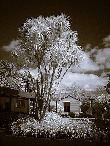 http://www.flickr.com/photos/josefstuefer/3128099950/