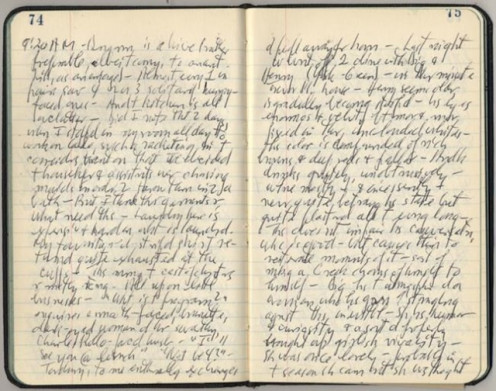 Writing in a journal