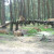 Serengeti Park, Hodenhagen, Germany Serengeti Park, Hodenhagen, Germany
