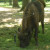 Wisentgehege Springe, Springe, Germany Wisentgehege Springe, Springe, Germany