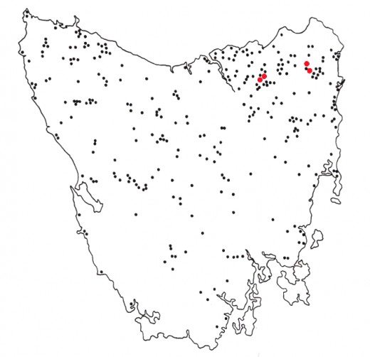 Tasmanian tiger sightings 1936 through 1980