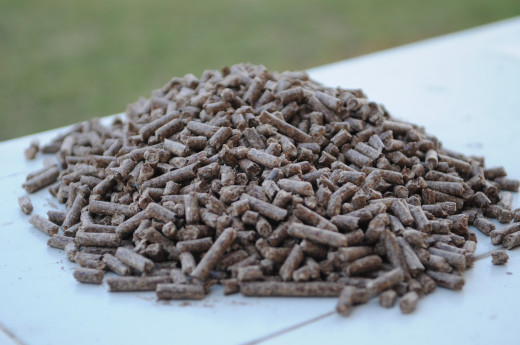 Small pile of wood pellets