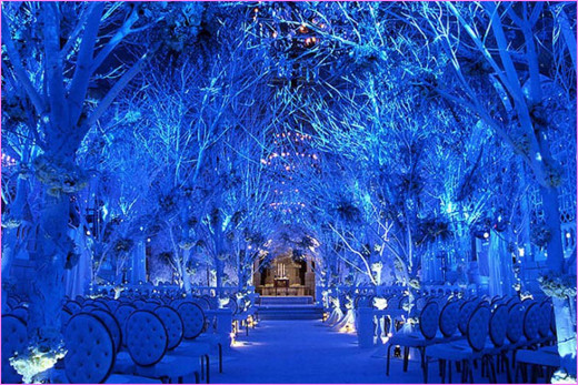 This winter wonderland gives off a winter wonderland scenery.