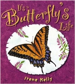 Butterfly Lesson for Children | HubPages