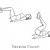 A bit more challenging of a crunch. Here you'll bend and keep your legs parallel to the floor, lifting from your hips to bring your knees to your chest