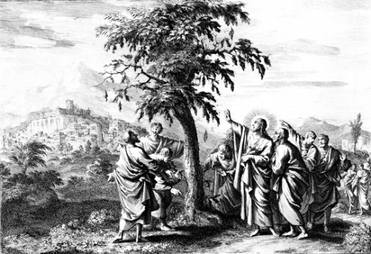 Jesus Curses the Fig Tree. Mark 11:12-14