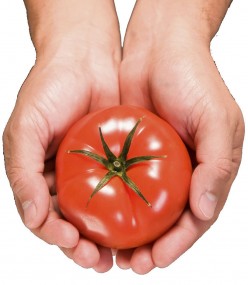 Health Benefits That Comes With Eating Tomatoes