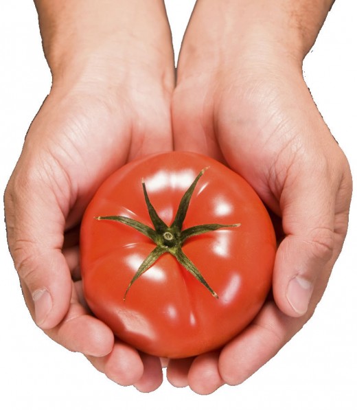 http://www.reynoldsburgtomatofestival.org/