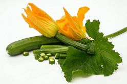 Zucchini Recipes and Health Benefits