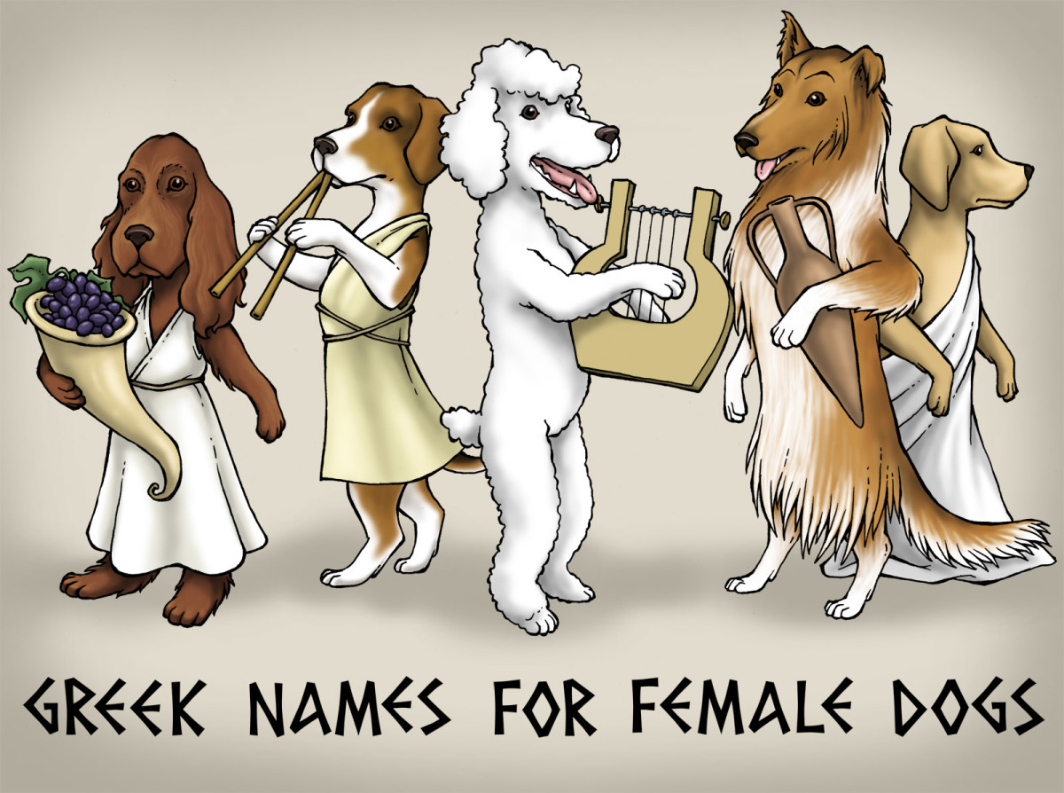 101 Greek Goddess Names That Make Epic Female Dog Names