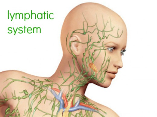 *Pathology of the Lymph Nodes* | hubpages