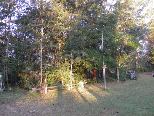 backyard photo from my pictures