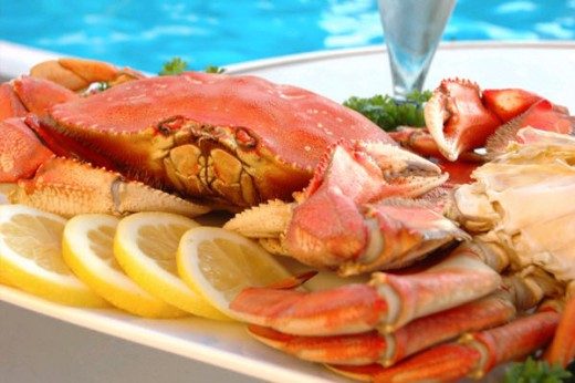 Baltimore dungeness  crabs