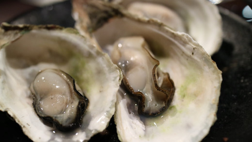 Oyster An Aphrodisiac