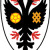 AFC Wimbledon AFC Wimbledon