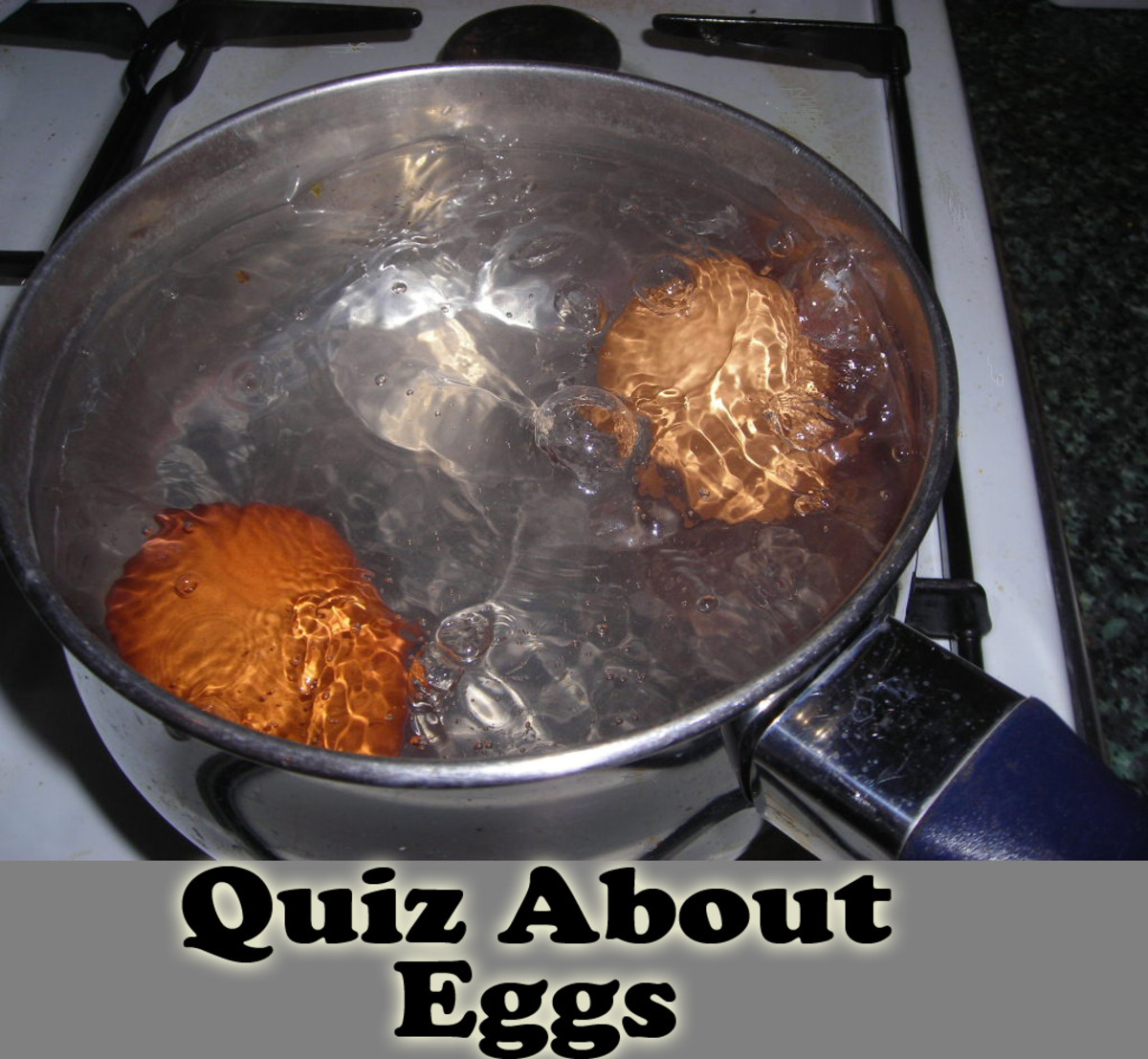 Quiz About Eggs And Additional Discussion