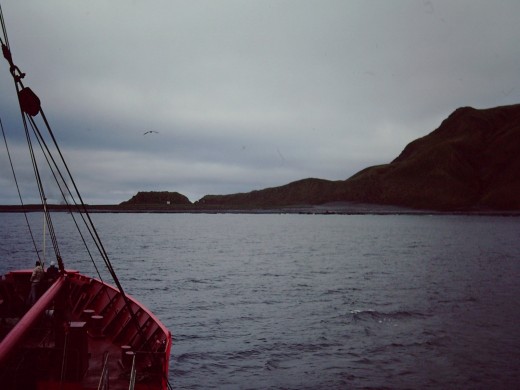 The Nella Dan approaching Macquarie Island in October 1976.   This ship was to eventually founder off this coast some years later.