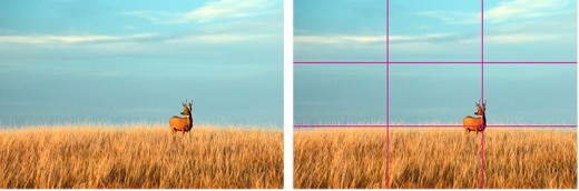 Every picture you take can be split into 3 parts, horizontally and diagonally. 