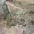 More of the wild life at Pisac. More of the wild life at Pisac.