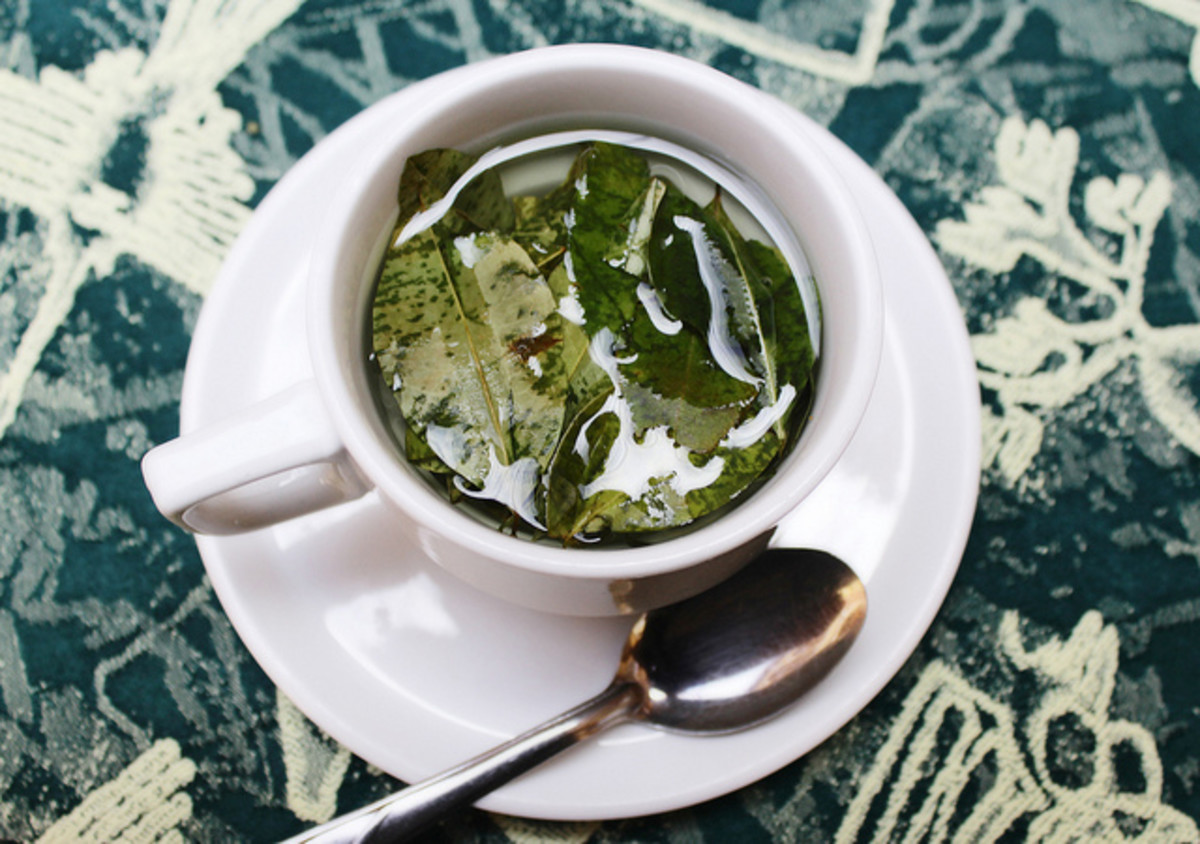Five Herbal Teas to Improve Digestion and Ease Digestive Issues.