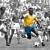 Pele Pele