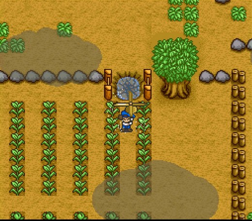 Tilled field full of crops