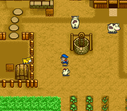 Dog, Chickens, and Cow