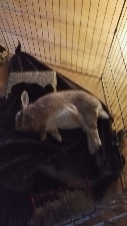 Ron having a lie down
