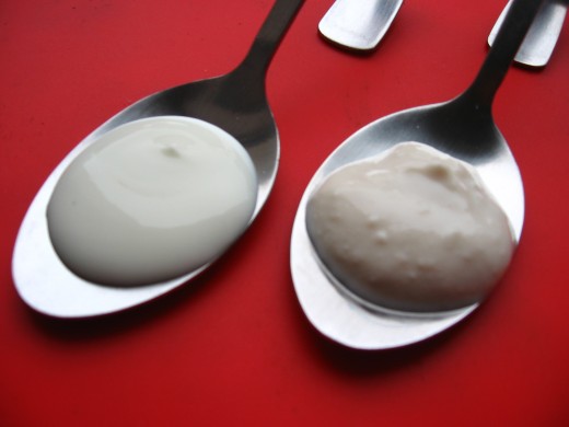 Yogurt and Soy Yogurt