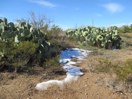 Until moving to Wisconsin, I considered this snow.