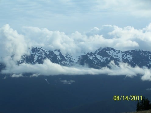 HURRICANE RIDGE, OLYMPIA NATIONAL PARK  (It was to overcast in Alaska to get any good mountain shots)