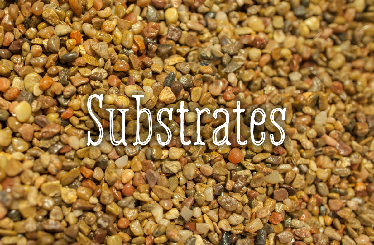 The first step in decorating your fish tank is choosing which substrate to use to cover the bottom.