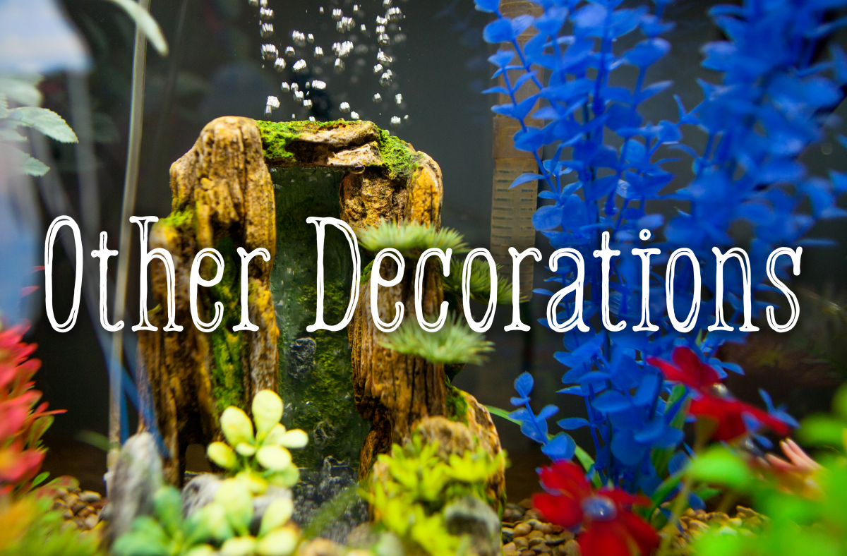 What other decorations are safe for your tank.