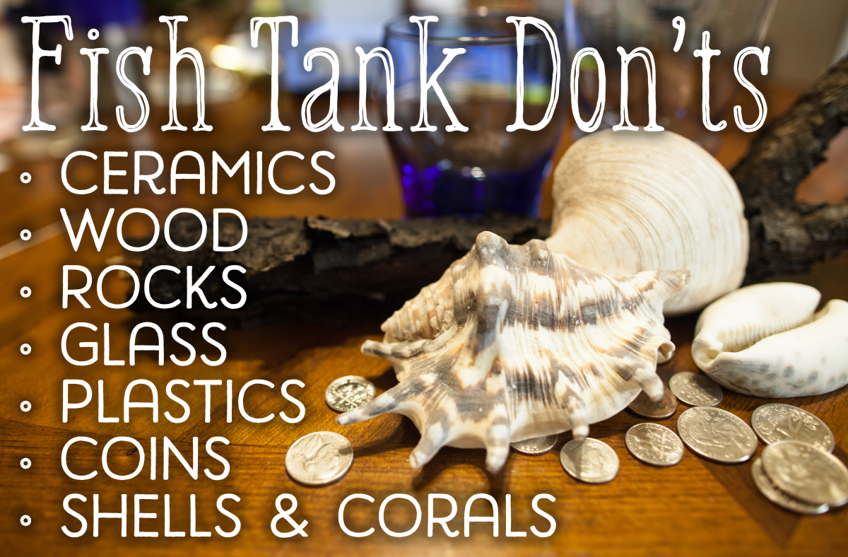 Ceramics, wood, rocks, glass, plastics, coins, shells and corals may not be safe decorations for your tank.