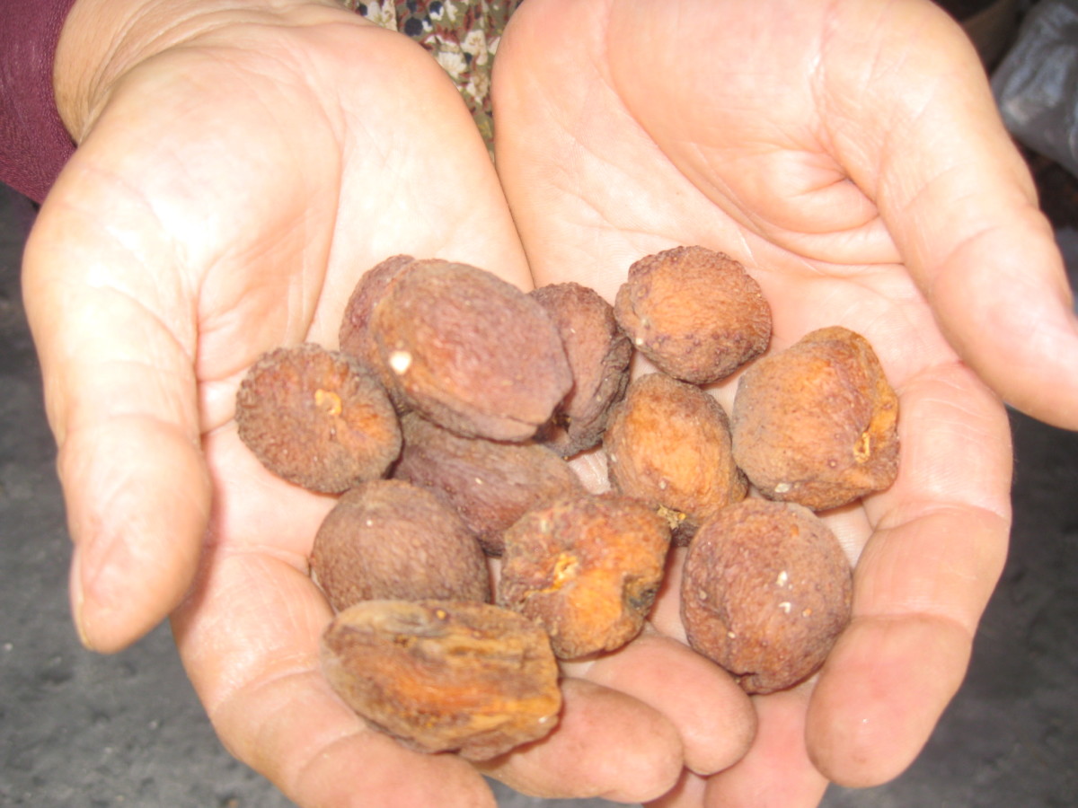 Whole Dried Apricots