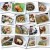 Side Dishes for Papeda