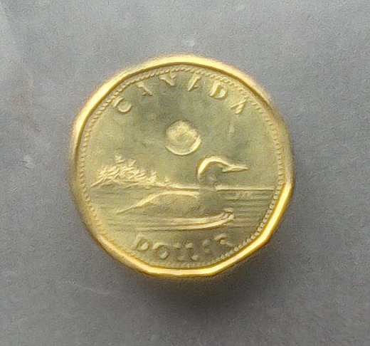 Canadian one dollar coin...called a looney because of the picture of a loon on its surface.