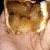 Just the right size for on the go eating! Try one for breakfast! Just the right size for on the go eating! Try one for breakfast!