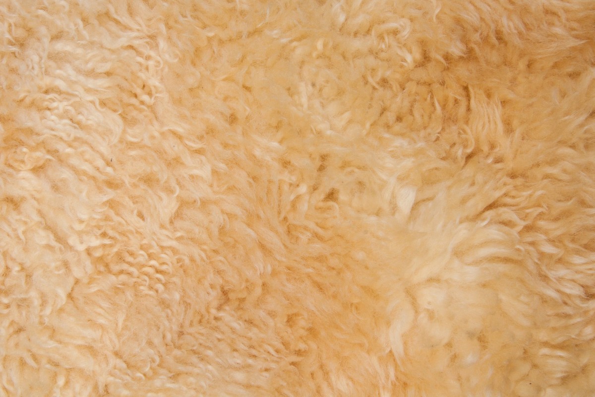 Sheepskins will be sure to keep you warm and cozy